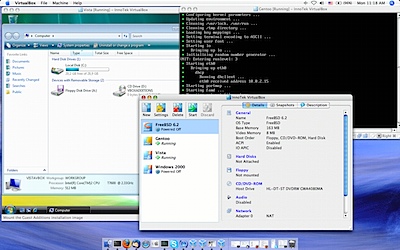 virtual box running windows e linux freebsd