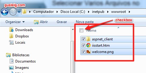 Selecionar Varios Arquivos no Explorer do Windows Com Checkbox